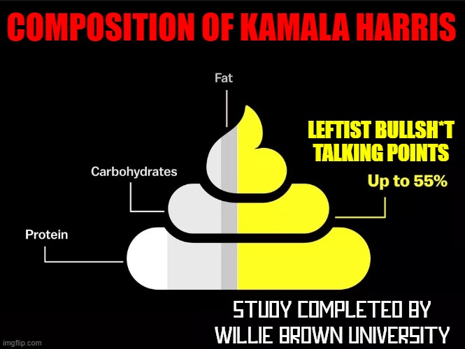 "That Little Girl was Me" by Kamala Harris | COMPOSITION OF KAMALA HARRIS; LEFTIST BULLSH*T
TALKING POINTS; STUDY COMPLETED BY WILLIE BROWN UNIVERSITY | image tagged in vince vance,composition,kamala harris | made w/ Imgflip meme maker