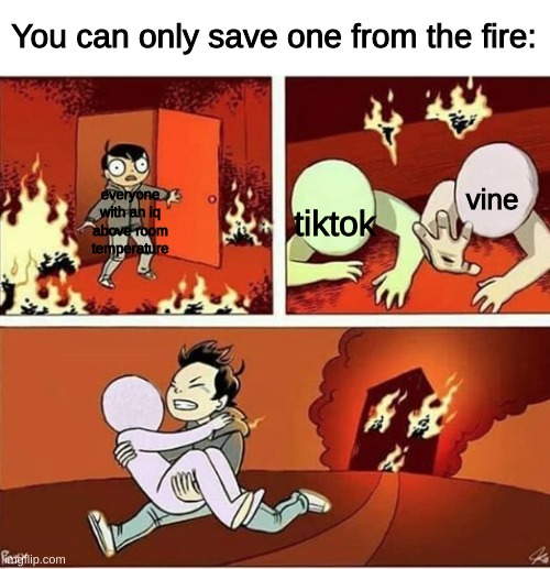 imagine not picking vine |  You can only save one from the fire:; vine; everyone with an iq above room temperature; tiktok | image tagged in you can only save one from fire | made w/ Imgflip meme maker