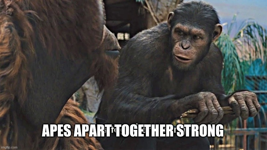 Ape together strong | APES APART TOGETHER STRONG | image tagged in ape together strong | made w/ Imgflip meme maker