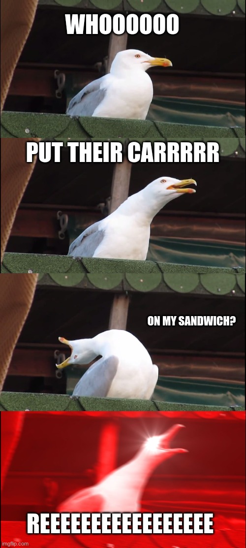 Inhaling Seagull | WHOOOOOO; PUT THEIR CARRRRR; ON MY SANDWICH? REEEEEEEEEEEEEEEEE | image tagged in memes,inhaling seagull | made w/ Imgflip meme maker