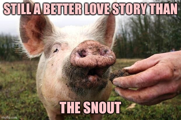 TrufflePig | STILL A BETTER LOVE STORY THAN THE SNOUT | image tagged in trufflepig | made w/ Imgflip meme maker