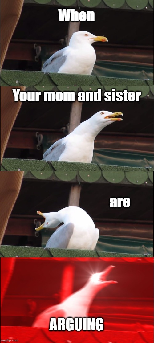 Inhaling Seagull Meme | When; Your mom and sister; are; ARGUING | image tagged in memes,inhaling seagull | made w/ Imgflip meme maker