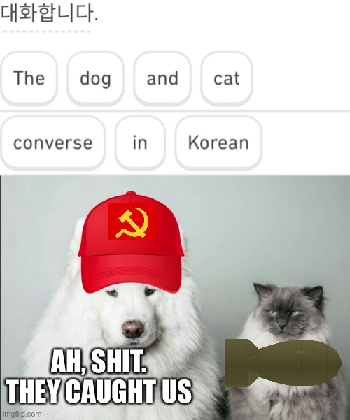 Really duo? | AH, SHIT. THEY CAUGHT US | image tagged in bad joke dog cat | made w/ Imgflip meme maker