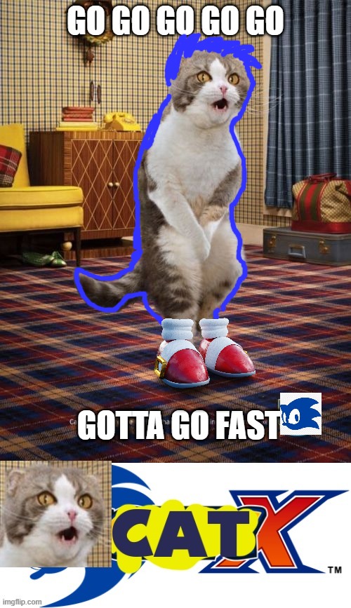 Gotta Go Fast! | image tagged in gotta go cat,gotta go fast,pee,sonic the hedgehog,sonic x,cat x | made w/ Imgflip meme maker