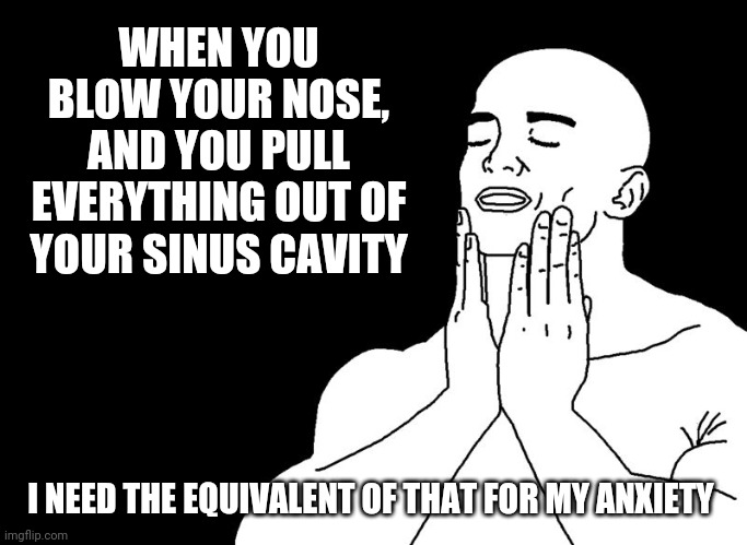 Pressure relief and a clean sensation. | WHEN YOU BLOW YOUR NOSE, AND YOU PULL EVERYTHING OUT OF YOUR SINUS CAVITY; I NEED THE EQUIVALENT OF THAT FOR MY ANXIETY | image tagged in that refreshing meme | made w/ Imgflip meme maker