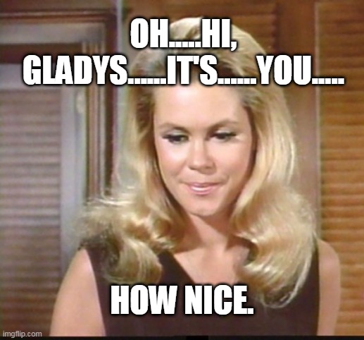 samantha hi gladys | OH.....HI, GLADYS......IT'S......YOU..... HOW NICE. | image tagged in bewitched | made w/ Imgflip meme maker