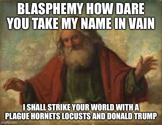 god | BLASPHEMY HOW DARE YOU TAKE MY NAME IN VAIN I SHALL STRIKE YOUR WORLD WITH A PLAGUE HORNETS LOCUSTS AND DONALD TRUMP | image tagged in god | made w/ Imgflip meme maker