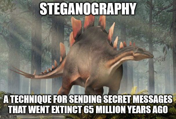 Stegosaurus | STEGANOGRAPHY; A TECHNIQUE FOR SENDING SECRET MESSAGES THAT WENT EXTINCT 65 MILLION YEARS AGO | image tagged in stegosaurus | made w/ Imgflip meme maker