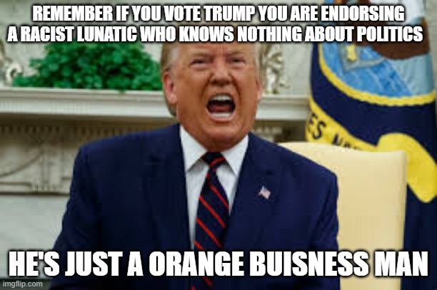 yelling donald trump | REMEMBER IF YOU VOTE TRUMP YOU ARE ENDORSING A RACIST LUNATIC WHO KNOWS NOTHING ABOUT POLITICS; HE'S JUST A ORANGE BUISNESS MAN | image tagged in yelling donald trump,politics,donald trump,racism,anti-semite and a racist | made w/ Imgflip meme maker