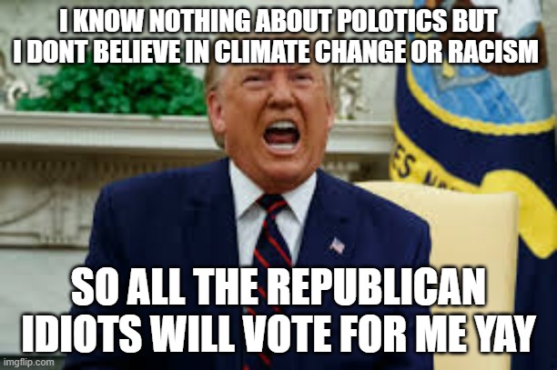 yelling donald trump | I KNOW NOTHING ABOUT POLOTICS BUT I DONT BELIEVE IN CLIMATE CHANGE OR RACISM; SO ALL THE REPUBLICAN IDIOTS WILL VOTE FOR ME YAY | image tagged in yelling donald trump,memes,politics,political | made w/ Imgflip meme maker