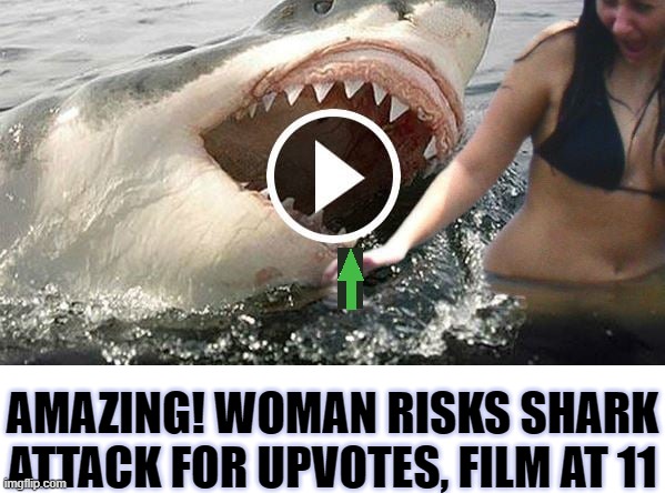 Woman Risks Shark Attack For Upvotes & Comments. | AMAZING! WOMAN RISKS SHARK ATTACK FOR UPVOTES, FILM AT 11 | image tagged in shark attack,shark week,upvotes,original memes,the meme zone,point farming | made w/ Imgflip meme maker