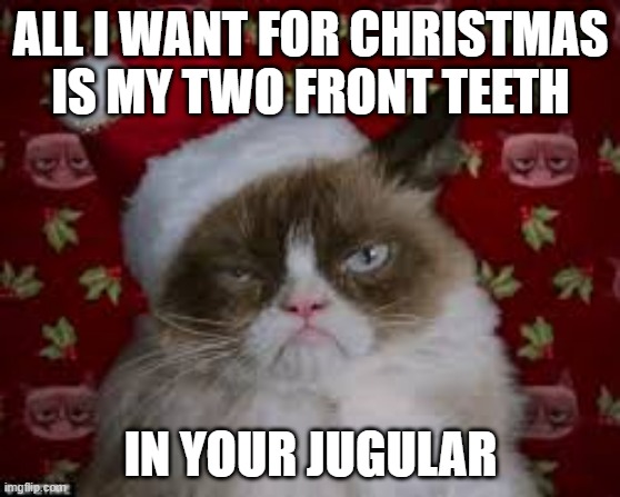Grumpy Xmas Cat | ALL I WANT FOR CHRISTMAS IS MY TWO FRONT TEETH; IN YOUR JUGULAR | image tagged in grumpy xmas cat,cats,memes,musically malicious grumpy cat,funny cats,grumpy cat | made w/ Imgflip meme maker