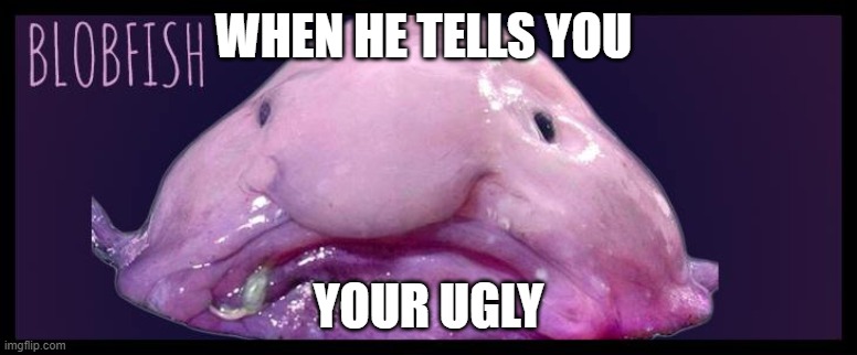Blob Fish | WHEN HE TELLS YOU; YOUR UGLY | image tagged in blob fish | made w/ Imgflip meme maker