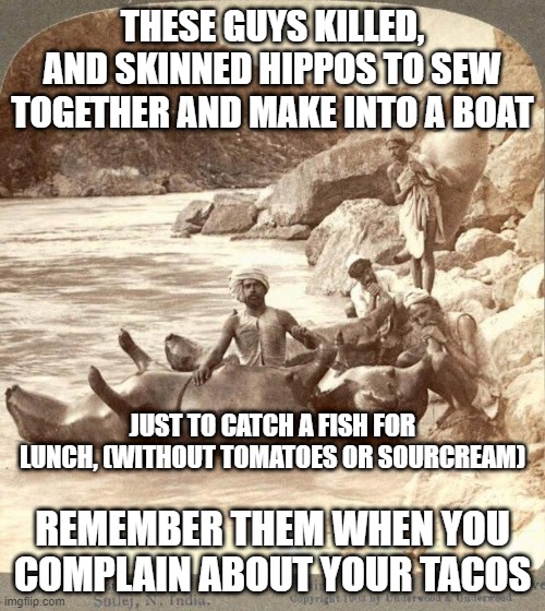 hippo | THESE GUYS KILLED, AND SKINNED HIPPOS TO SEW TOGETHER AND MAKE INTO A BOAT; JUST TO CATCH A FISH FOR LUNCH, (WITHOUT TOMATOES OR SOURCREAM); REMEMBER THEM WHEN YOU COMPLAIN ABOUT YOUR TACOS | image tagged in funny memes | made w/ Imgflip meme maker