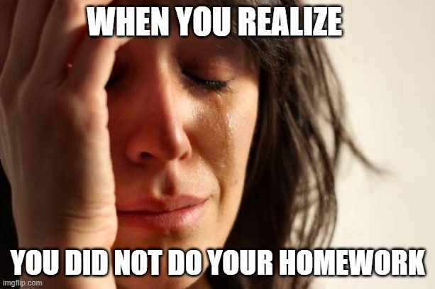 First World Problems Meme | WHEN YOU REALIZE; YOU DID NOT DO YOUR HOMEWORK | image tagged in memes,first world problems | made w/ Imgflip meme maker