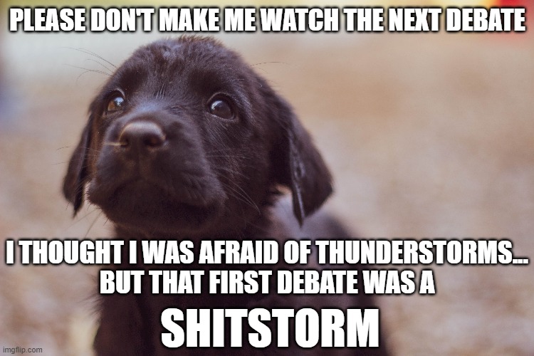 Let him off the hook...it would be the humane thing to do.... |  PLEASE DON'T MAKE ME WATCH THE NEXT DEBATE; I THOUGHT I WAS AFRAID OF THUNDERSTORMS...
BUT THAT FIRST DEBATE WAS A; SHITSTORM | image tagged in memes,funny memes,presidential debate,debate,scared dog,2020 elections | made w/ Imgflip meme maker