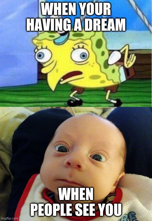 WHEN YOUR HAVING A DREAM; WHEN PEOPLE SEE YOU | image tagged in memes,mocking spongebob | made w/ Imgflip meme maker