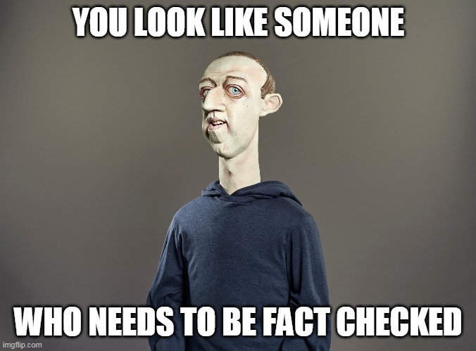 FakeBook | YOU LOOK LIKE SOMEONE; WHO NEEDS TO BE FACT CHECKED | image tagged in memes,facebook,mark zuckerberg,fact check,social media,censorship | made w/ Imgflip meme maker