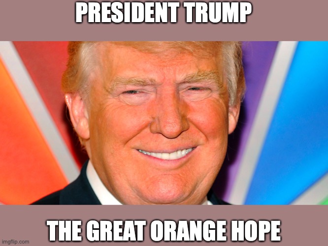 The Great Orange Hope | PRESIDENT TRUMP; THE GREAT ORANGE HOPE | image tagged in trump,orange man,make america great again,leftist,head explosions | made w/ Imgflip meme maker