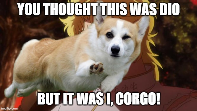 YOU THOUGHT THIS WAS DIO; BUT IT WAS I, CORGO! | image tagged in but it was me dio | made w/ Imgflip meme maker