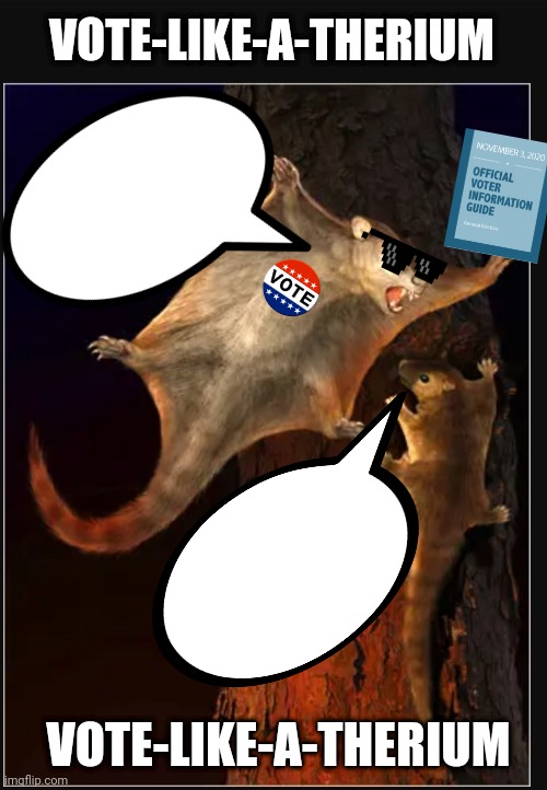 Votey Cool says: Blank Meme Template