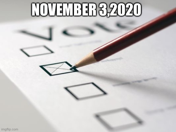Voting Ballot | NOVEMBER 3,2020 | image tagged in voting ballot | made w/ Imgflip meme maker