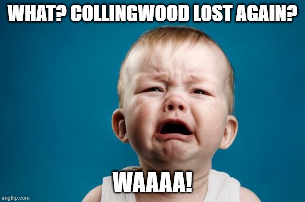 Why doesn't anyone upvote my sport memes, huh? | WHAT? COLLINGWOOD LOST AGAIN? WAAAA! | image tagged in baby crying,memes,sports,meme,afl,sport | made w/ Imgflip meme maker