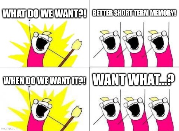 Did I just do this...? | WHAT DO WE WANT?! BETTER SHORT TERM MEMORY! WANT WHAT...? WHEN DO WE WANT IT?! | image tagged in memes,what do we want | made w/ Imgflip meme maker