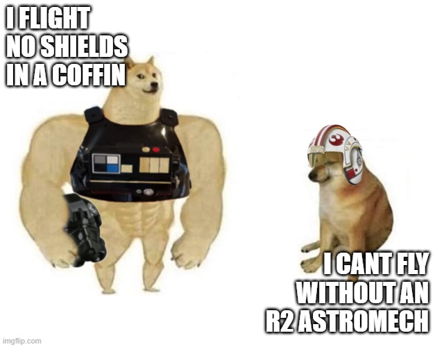 Star Wars Squadrons Pilots (dogs) | I FLIGHT
NO SHIELDS
IN A COFFIN; I CANT FLY
WITHOUT AN
R2 ASTROMECH | image tagged in star wars,squadrons,millennials,dogs,tie fighter,imperial | made w/ Imgflip meme maker
