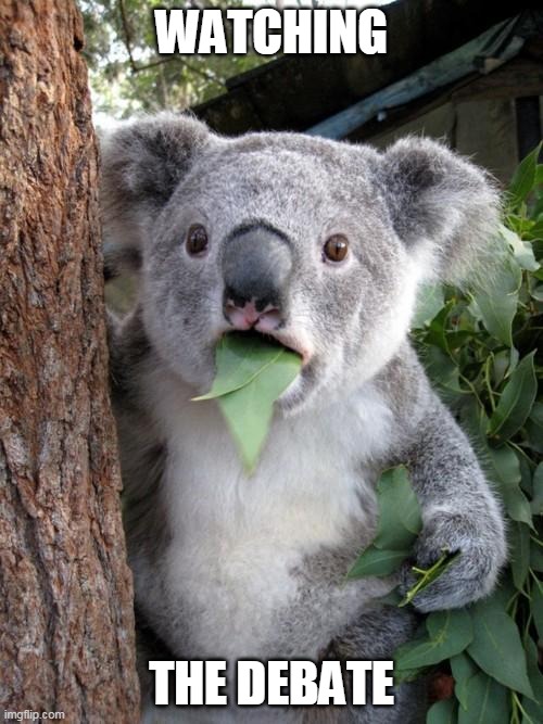 Presidential debate | WATCHING; THE DEBATE | image tagged in memes,surprised koala,presidential debate,shocked face,woke | made w/ Imgflip meme maker