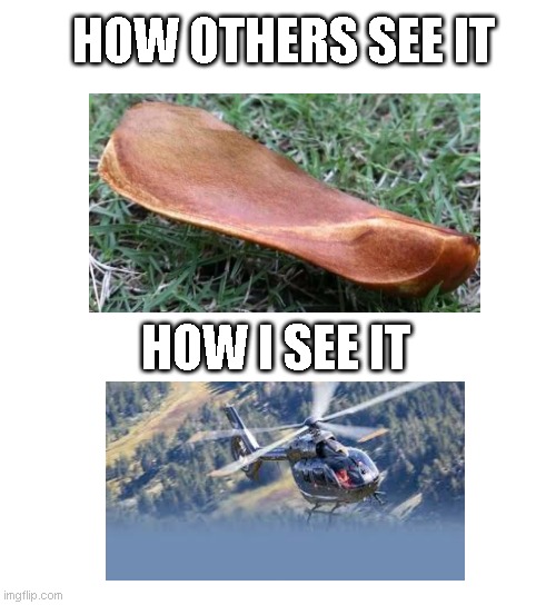 HOW OTHERS SEE IT; HOW I SEE IT | image tagged in helicopter | made w/ Imgflip meme maker