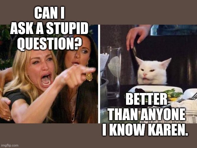 Smudge the cat | CAN I ASK A STUPID QUESTION? BETTER THAN ANYONE I KNOW KAREN. | image tagged in smudge the cat | made w/ Imgflip meme maker