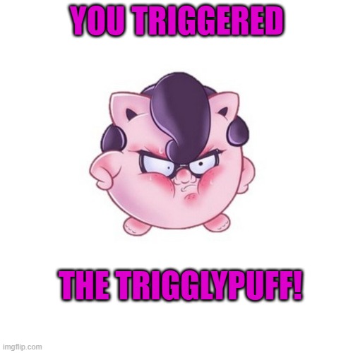 You Triggered the Trigglypuff | YOU TRIGGERED; THE TRIGGLYPUFF! | image tagged in trigglypuff | made w/ Imgflip meme maker