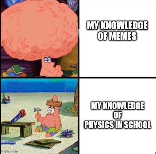 My knowledge | MY KNOWLEDGE OF MEMES; MY KNOWLEDGE OF PHYSICS IN SCHOOL | image tagged in patrick big brain | made w/ Imgflip meme maker