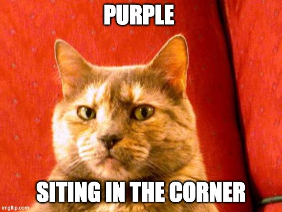 Suspicious Cat Meme | PURPLE SITING IN THE CORNER | image tagged in memes,suspicious cat | made w/ Imgflip meme maker