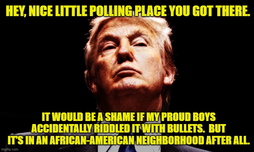 Don "Corleone" Trump | HEY, NICE LITTLE POLLING PLACE YOU GOT THERE. IT WOULD BE A SHAME IF MY PROUD BOYS ACCIDENTALLY RIDDLED IT WITH BULLETS.  BUT IT’S IN AN AFRICAN-AMERICAN NEIGHBORHOOD AFTER ALL. | image tagged in president trump,the godfather,government corruption,deplorable donald,donald trump approves | made w/ Imgflip meme maker