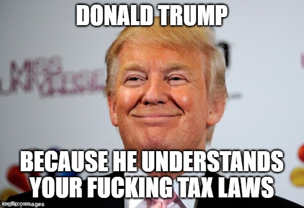 Donald trump approves | DONALD TRUMP BECAUSE HE UNDERSTANDS YOUR FUCKING TAX LAWS | image tagged in donald trump approves | made w/ Imgflip meme maker