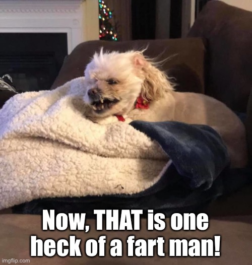 Breaking Major Wind | Now, THAT is one heck of a fart man! | image tagged in funny memes,funny dog memes,dogs,farts | made w/ Imgflip meme maker