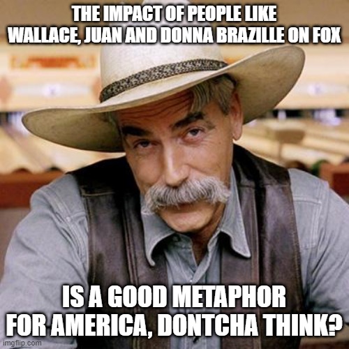 SARCASM COWBOY | THE IMPACT OF PEOPLE LIKE WALLACE, JUAN AND DONNA BRAZILLE ON FOX IS A GOOD METAPHOR FOR AMERICA, DONTCHA THINK? | image tagged in sarcasm cowboy | made w/ Imgflip meme maker