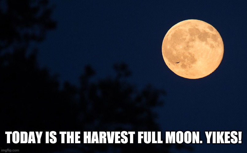TODAY IS THE HARVEST FULL MOON. YIKES! | image tagged in full moon | made w/ Imgflip meme maker