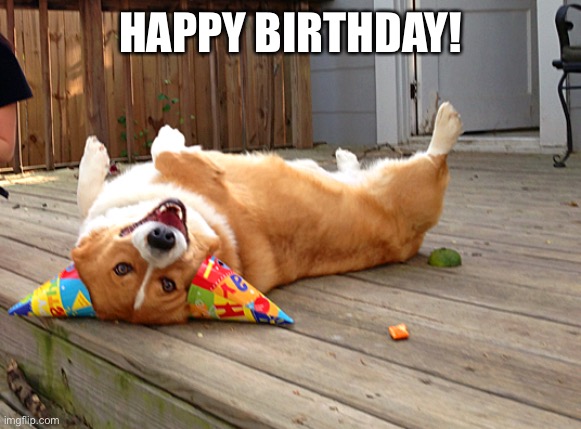 birthday corgi | HAPPY BIRTHDAY! | image tagged in birthday corgi | made w/ Imgflip meme maker