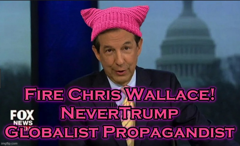 chris wallace | image tagged in chris wallace | made w/ Imgflip meme maker