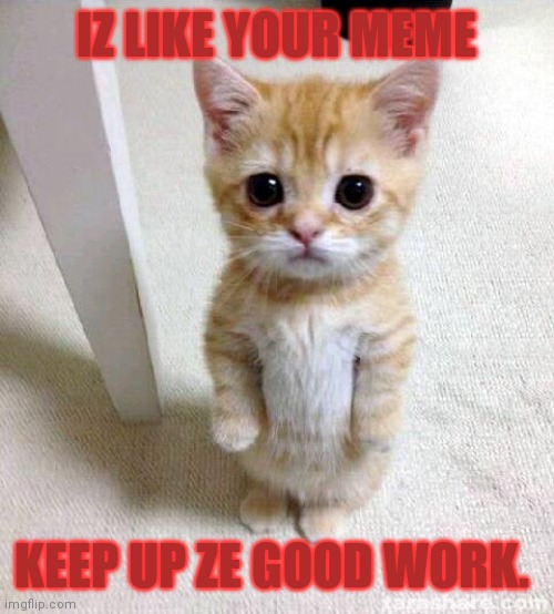 Cute Cat | IZ LIKE YOUR MEME KEEP UP ZE GOOD WORK. | image tagged in memes,cute cat | made w/ Imgflip meme maker