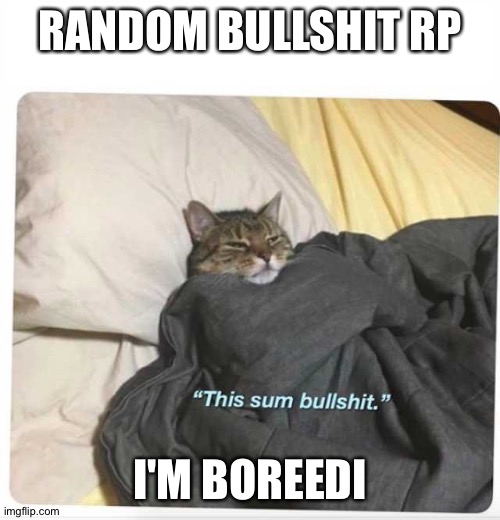 This sum bullshit cat | RANDOM BULLSHIT RP; I'M BOREEDI | image tagged in this sum bullshit cat | made w/ Imgflip meme maker