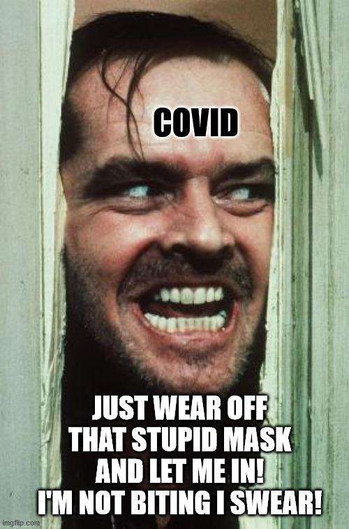 burn your mask and trust covid like a stupid potato! | COVID; JUST WEAR OFF THAT STUPID MASK AND LET ME IN! I'M NOT BITING I SWEAR! | image tagged in memes,here's johnny,lol,covid-19,wear a mask | made w/ Imgflip meme maker