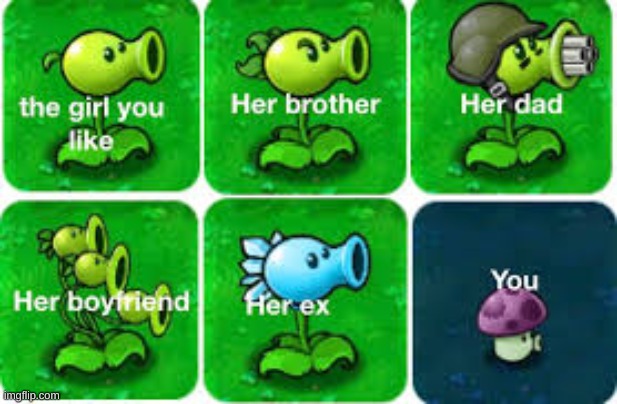 PVZ template | image tagged in pvz | made w/ Imgflip meme maker