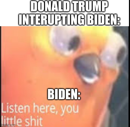 lol | DONALD TRUMP INTERUPTING BIDEN:; BIDEN: | image tagged in trump,trump 2020,creepy joe biden | made w/ Imgflip meme maker