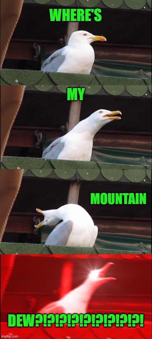 Inhaling Seagull | WHERE'S; MY; MOUNTAIN; DEW?!?!?!?!?!?!?!?!?! | image tagged in memes,inhaling seagull | made w/ Imgflip meme maker