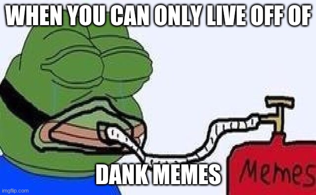 pepe the frog | WHEN YOU CAN ONLY LIVE OFF OF; DANK MEMES | image tagged in pepe the frog | made w/ Imgflip meme maker