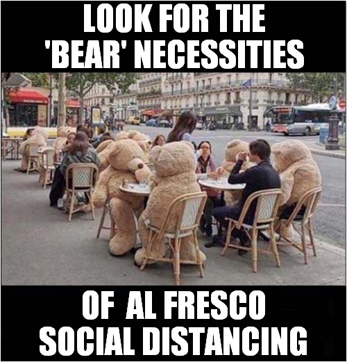 Cuddly Solutions To Modern Problems | LOOK FOR THE
'BEAR' NECESSITIES; OF  AL FRESCO SOCIAL DISTANCING | image tagged in social distancing,teddy bear,al fresco,dining | made w/ Imgflip meme maker